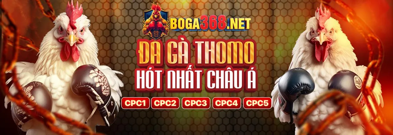 Đá gà trực tuyến Vicclub 2026 với những trận đấu kịch tính